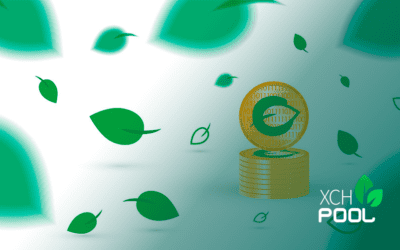 New chia blockchain release version 10 beta -Chia-Network
