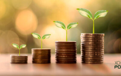 LAST MINUTE XCHPool Chia-Pool EXTENDING 0% deal, Be fast! Join now!