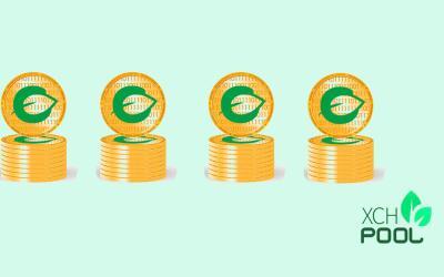 XCHPool – Chia pool Payout update!